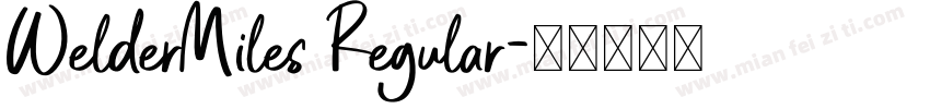WelderMiles Regular字体转换